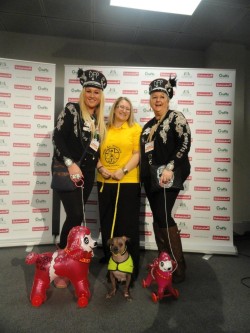 The Dog Fashion Police Josie and Kelly with their friend Bev and her celeb dog Ugly Mugly