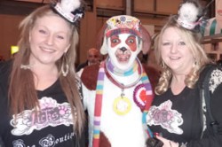We meet the Welsh tv dog Bow Wow at Crufts 2011